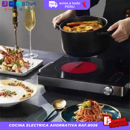 COCINA ELECTRICA AHORRATIVA RAF
